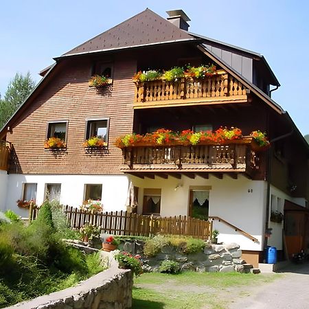 Haus Maria Apartment Todtnau Exterior foto