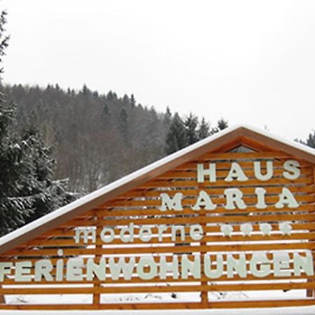 Haus Maria Apartment Todtnau Exterior foto