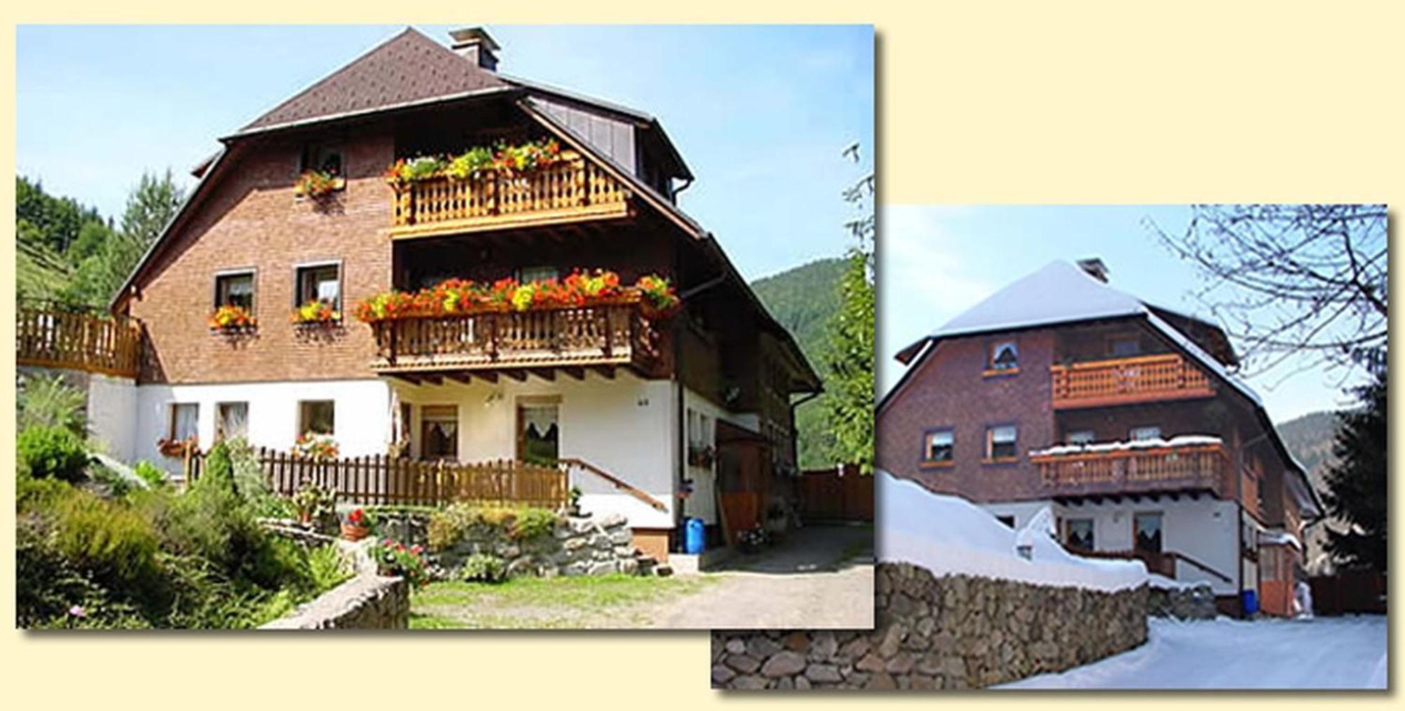 Haus Maria Apartment Todtnau Exterior foto
