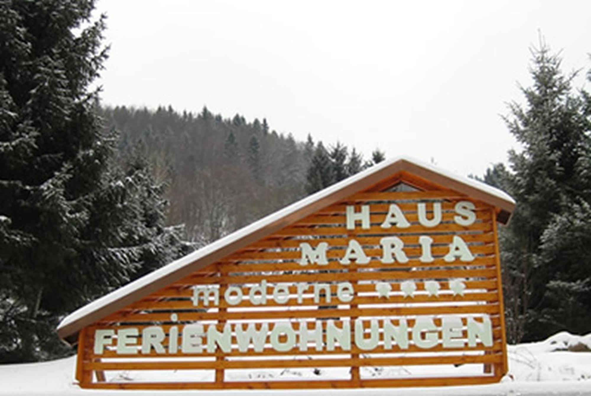 Haus Maria Apartment Todtnau Exterior foto