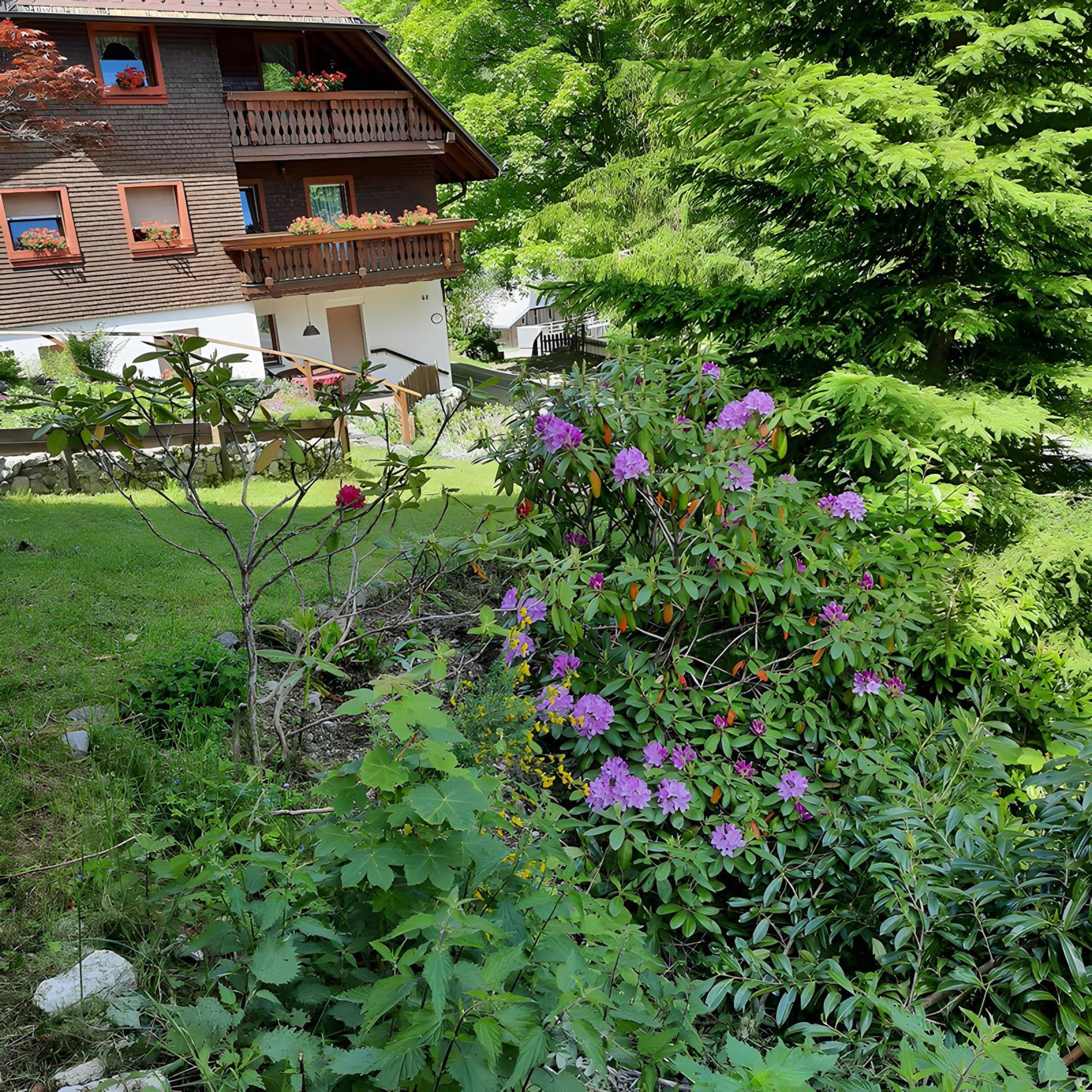 Haus Maria Apartment Todtnau Exterior foto
