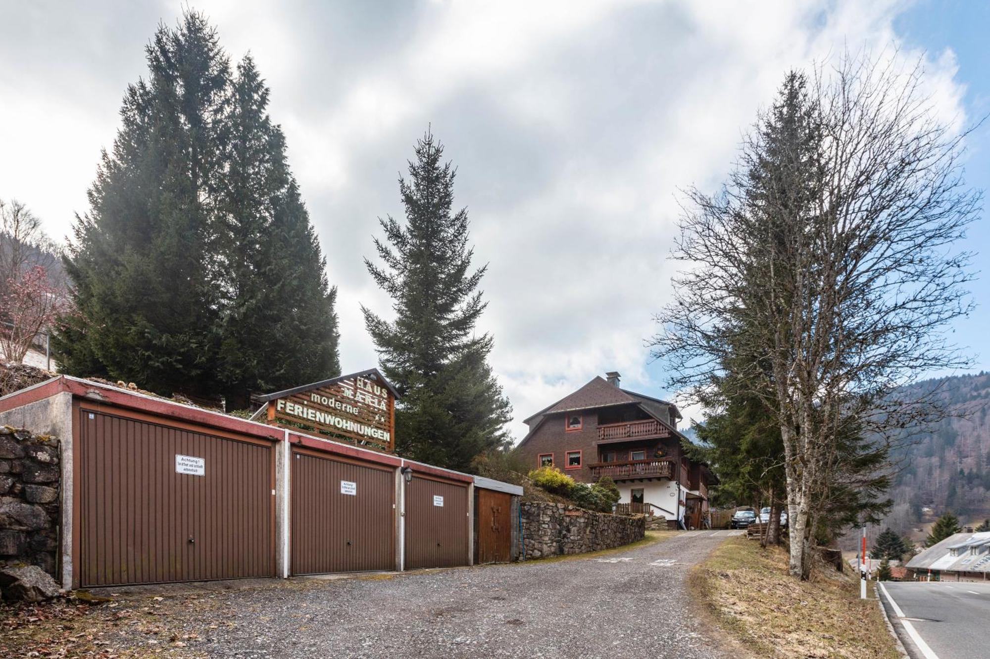 Haus Maria Apartment Todtnau Exterior foto
